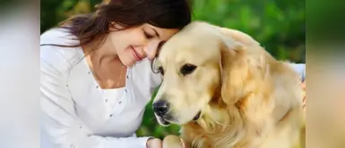 Los perros pueden detectar estas enfermedades de su dueño ¿Sabías que los perros pueden detectar algunas enfermedades? Aquí te contamos cuáles son