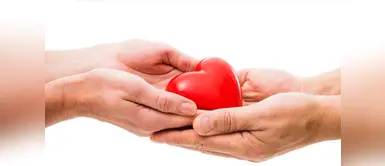 Donación de órganos ¿Por qué son importantes las donaciones de órganos?