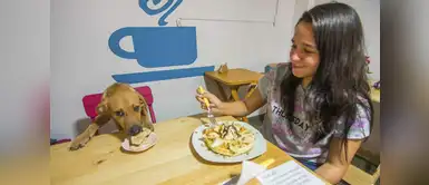 Pet friendly: siete lugares de Lima donde te dejarán entrar con tu mascota Siete lugares de Lima donde te dejarán entrar con tu mascota