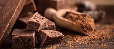 Conoce los beneficios del chocolate. Chocolate sin culpas