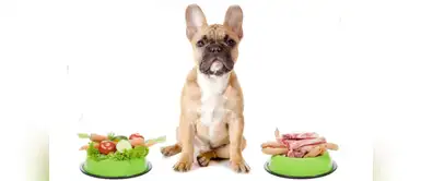 Dieta barf, la alimentación que tu perro necesita ¿Sabías que tu perro necesita alimentarse con una dieta barf?