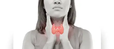 Esto es todo lo que debes de saber sobre el hipotiroidismo Esto es todo lo que debes de saber sobre el hipotiroidismo