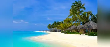 ¿Cuándo es la mejor época para viajar a Punta Cana? ¿Sales de vacaciones y quieres viajar? Te contamos cuándo es la mejor época para viajar a Punta Cana