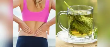 Cuida tus riñones con estos remedios caseros. (Foto: Difusión) ¿Tienes cálculos renales? 5 remedios caseros para eliminarlos rápidamente