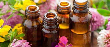 Conoce la manera de relajarte con esta medicina natural que te ayudará a equilibrar tus emociones. Flores de Bach: Nivela tus emociones de forma natural