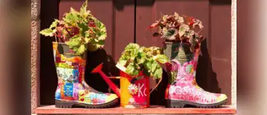 Recicla tus zapatos y conviértelos en floreros o lámparas ¿Tienes zapatos viejos? Conviértelos en floreros o lámparas