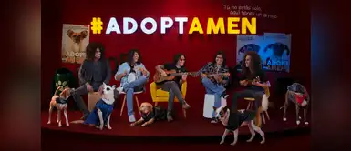 Amén promueve campaña de adopción de mascotas “AdoptAmen” Amén promueve campaña de adopción de mascotas “AdoptAmen”