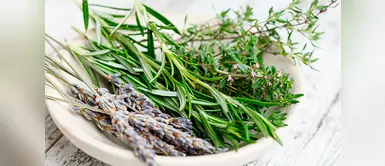 Mejora tu salud tomando infusión de romero todos los días. (Foto: Pixabay) 9 beneficios ocultos del té de romero que nunca habrías imaginado