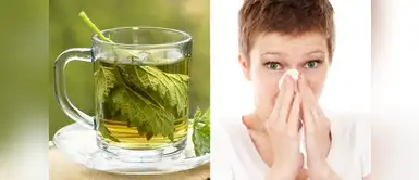 Si no lo combates a tiempo, la gripe puede producir dolores de garganta, cabeza y musculares realmente molestos. (Foto: Pixabay) ¿Resfriada? 3 remedios que te ayudarán a combatir el malestar rápidamente