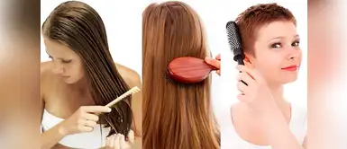 Cono los tipos de peines que puedes usar Siete tipos de peines y las funciones que cumplen en tu cabello