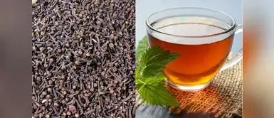 No creerás lo que puede hacer el té de clavo de olor por tu salud 5 increíbles beneficios de tomar té de clavo de olor todos los días