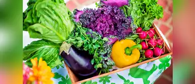 Estos son los alimentos que te ayudarán a lucir una piel joven y saludable. Los mejores 5 alimentos para lucir una piel joven e hidratada