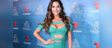 Carmen Villalobos enamoró a todos con sensual vestido de terciopelo Carmen Villalobos se luce con sensual vestido de terciopelo azul