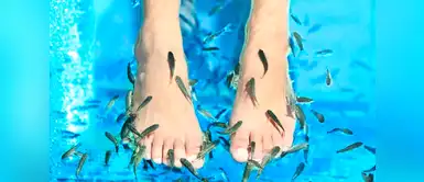 La picadura de uno de los peces le ocasión la amputación de todos los dedos de su pie derecho. Ictoterapia: el tratamiento para pies que deja sin dedos a una mujer