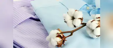 Cuida tus prendas de algodón con estos consejos Cuida tus prendas de algodón con estos consejos