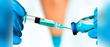 El antídoto combatiría el veneno de la mamba negra Hallan antídoto contra el veneno de la mamba negra