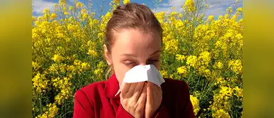 Estos alimentos previenen las alergias de primavera Estos son los alimentos que combaten las alergias de primavera