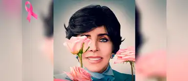 Estas son algunas curiosidades de la carrera profesional de la actriz Curiosidades de Verónica Castro que no sabías para celebrar sus 66 años