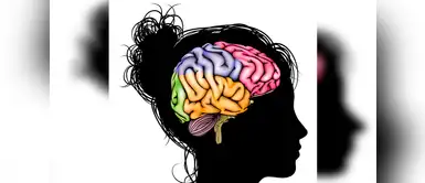 ¿Cuáles son los cambios en el cerebro de la mujer durante la menstruación? ¿Cómo puede llegar a cambiar el cerebro de las mujeres durante el periodo?