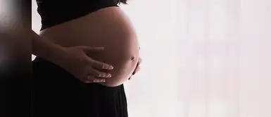 Este alimento promete aliviar los dolores de las contracciones Conoce el alimento que debes masticar durante las contracciones