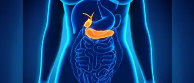 Tumores neuroendocrinos: controla tu alimentación. Si tienes tumores neuroendocrinos debes de controlar tu alimentación