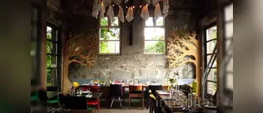 Consejos para restaurantes ecoamigables ¿Cómo diseñar un restaurante eco amigable?