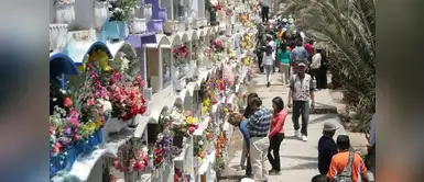 Piden llevar arena y flores artificiales a cementerios para evitar dengue Piden llevar arena y flores artificiales a cementerios para evitar dengue
