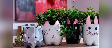 Tres clases de recipientes que podemos reciclar para hacer macetas | diseño | decoración | reciclaje Tres clases de recipientes que podemos reciclar para hacer macetas