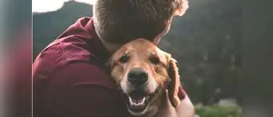 ¿Eres amante de los perritos? Entonces amarás esta serie de Netflix ¿Eres amante de los perritos? Entonces amarás esta serie de Netflix