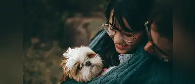 Perros: compañía te podría pagar hasta 100 dólares por acariciar cachorros | mascotas | animales | instagram Compañía te podría pagar 100 dólares por acariciar cachorros