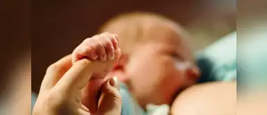 Conoce los derechos y beneficios laborales que te corresponden durante el periodo de lactancia Conoce los derechos y beneficios laborales que te corresponden durante el periodo de lactancia