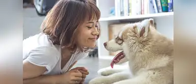 Tips para limpiar tu hogar si tienes mascotas Tips para limpiar tu hogar si tienes mascotas