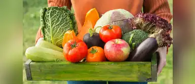 Cinco tips para comprar productos orgánicos en el Perú Cinco tips para comprar productos orgánicos en el Perú