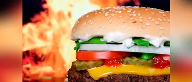 Alerta en Estados Unidos por alergias producidas por el ajonjolí Alerta en Estados Unidos por alergias producidas por el ajonjolí