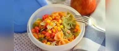 ¿Calentar la comida en táper provoca obesidad? ¿Calentar la comida en táper provoca obesidad?