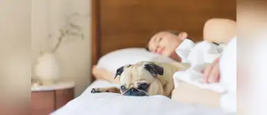 Personas que duermen con sus perros gozan de buena salud, afirma estudio Personas que duermen con sus perros gozan de buena salud, afirma estudio