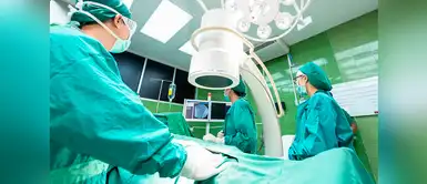 ¿El cerebro sigue en actividad luego de morir? ¿El cerebro sigue en actividad luego de morir?