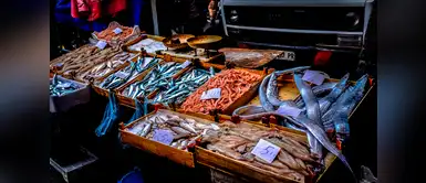 ¿cómo reconocer un pescado fresco? Aquí te lo mencionamos ¿cómo reconocer un pescado fresco? Aquí te lo mencionamos