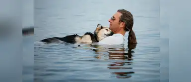 La ciencia explica por qué amamos tanto a nuestros perros La ciencia explica por qué amamos tanto a nuestros perros