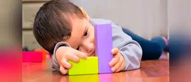 Más de un millón de familias cuentan con un integrante con discapacidad Más de un millón de familias cuentan con un integrante con discapacidad