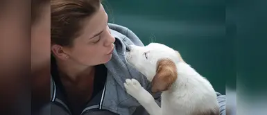 Adoptar una mascota podría ayudarnos a curar la depresión Adoptar una mascota podría ayudarnos a curar la depresión