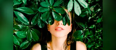 ¿Cutis seco? Este tratamiento casero podría ser tu solución ¿Cutis seco? Este tratamiento casero podría ser tu solución