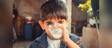 Intolerancia a la lactosa: ¿cuáles son las causas? Intolerancia a la lactosa: ¿cuáles son las causas?