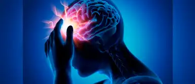 Descubren mecanismos moleculares vinculados al autismo y a la esquizofrenia Descubren mecanismos moleculares vinculados al autismo y a la esquizofrenia