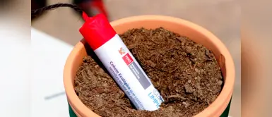 Estos son los cohetes ecológicos que podrías utilizar en las fiestas Estos son los cohetes ecológicos que podrías utilizar en las fiestas