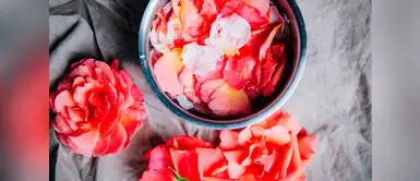 Las propiedades antinflamatorias del agua de rosas lo hacen un gran producto para combatir el acné y las cicatrices que éste deja. 7 beneficios del agua de rosas para la piel que quizás no sabías