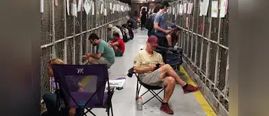 Más de 100 personas llegan a refugio para cuidar a perros de los cohetes Más de 100 personas llegan a refugio para cuidar a perros de los cohetes