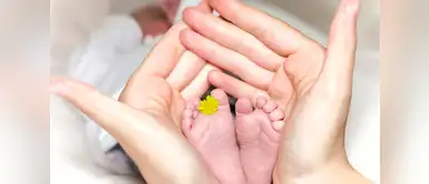 Ellos son los bebés de famosos que nacieron en el 2018 Ellos son los bebés de famosos que nacieron en el 2018