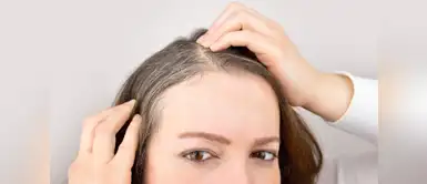 Dile adiós a las temidas canas con estos tips. ¡Todos querrán saber tu secreto! Dile adiós a las temidas canas con estos tips. ¡Todos querrán saber tu secreto!