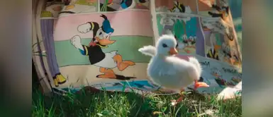 El comercial de Disney que hizo llorar a todo el mundo El comercial de Disney que hizo llorar a todo el mundo